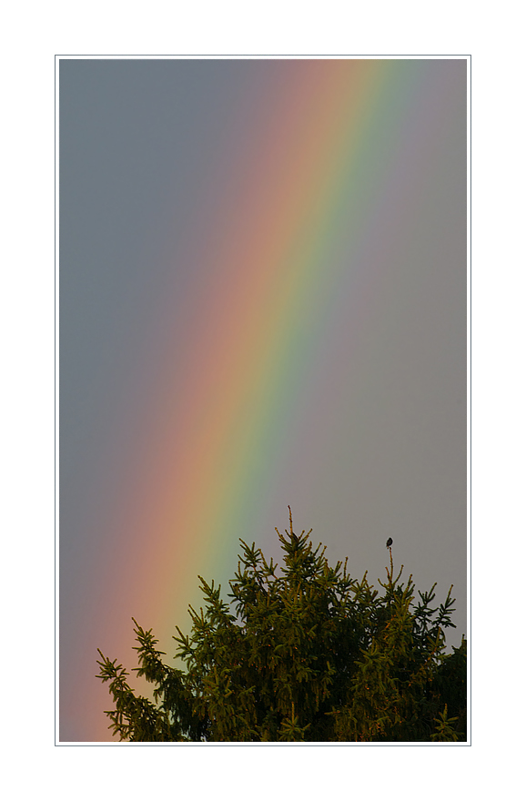 Regenbogen16