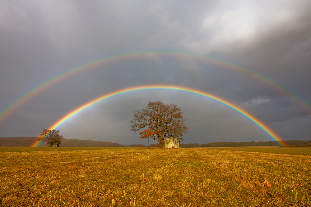 Regenbogen 11