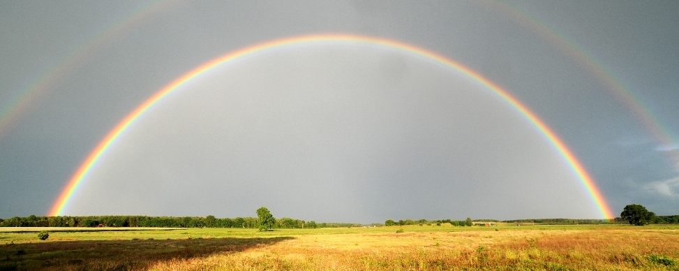 Regenbogen 7